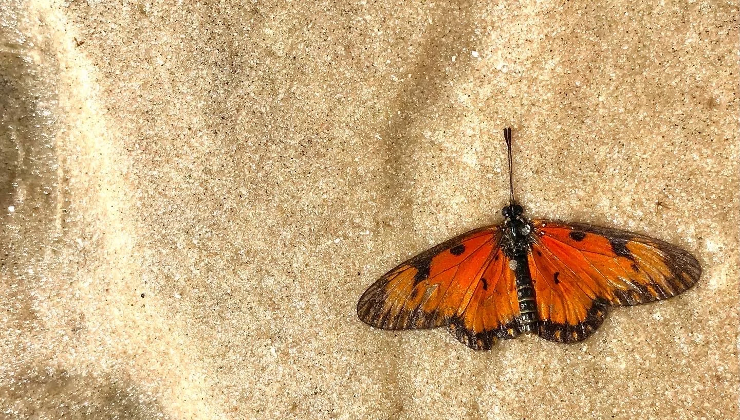 Views from above, views from the night