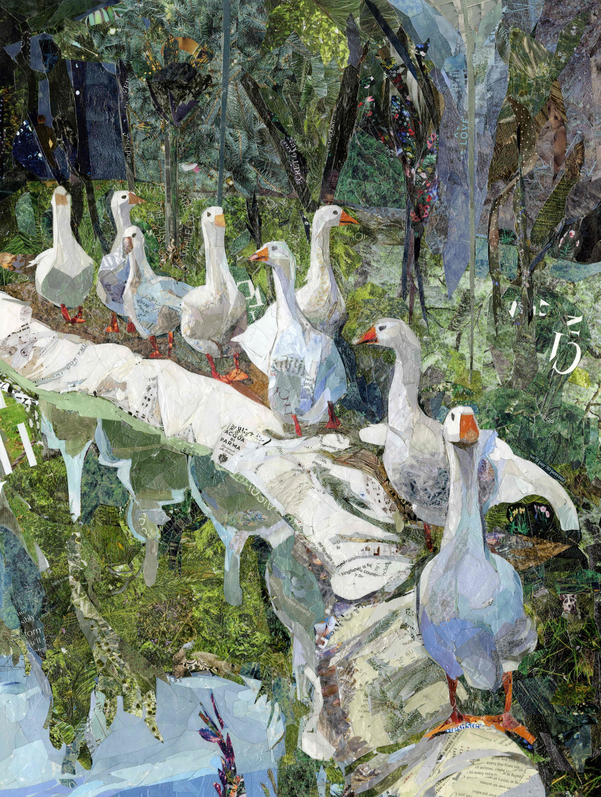 Geese