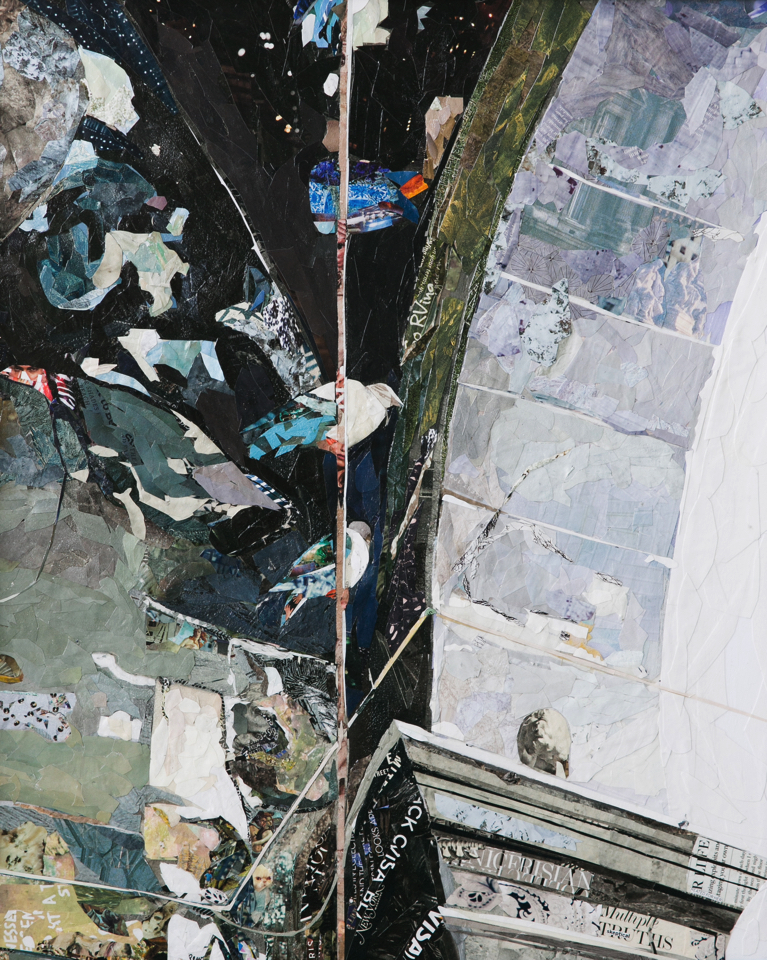 Birds of Naples