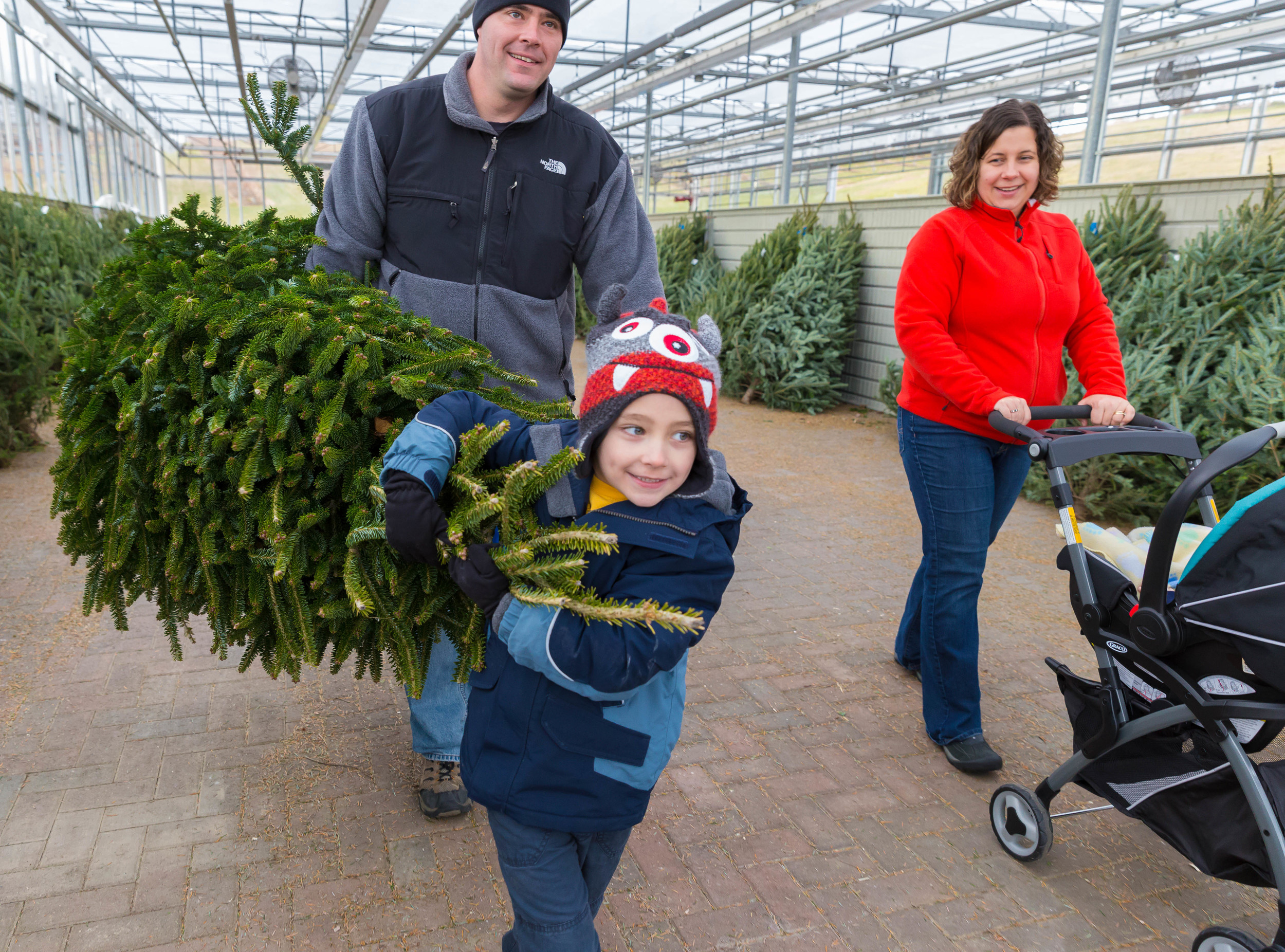 xmas tree shopping 1.jpg