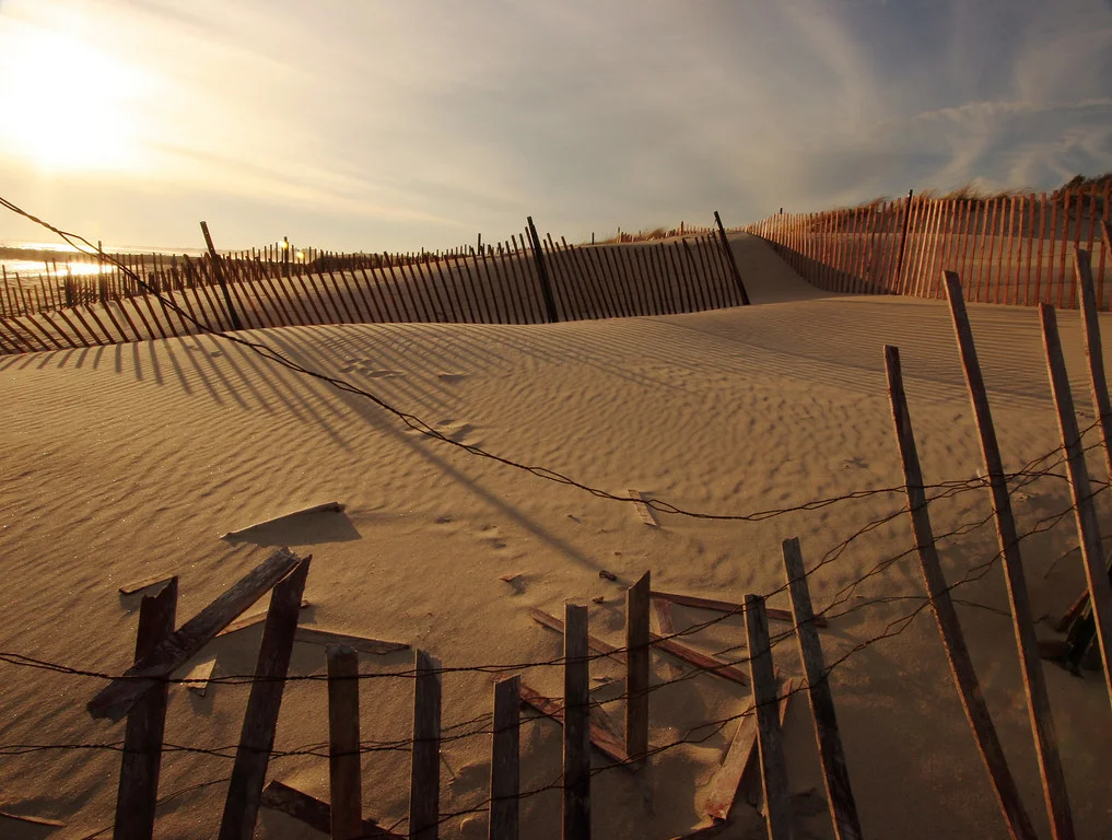      

 
  Fence and dunes, Weekapaug, RI
 






















     