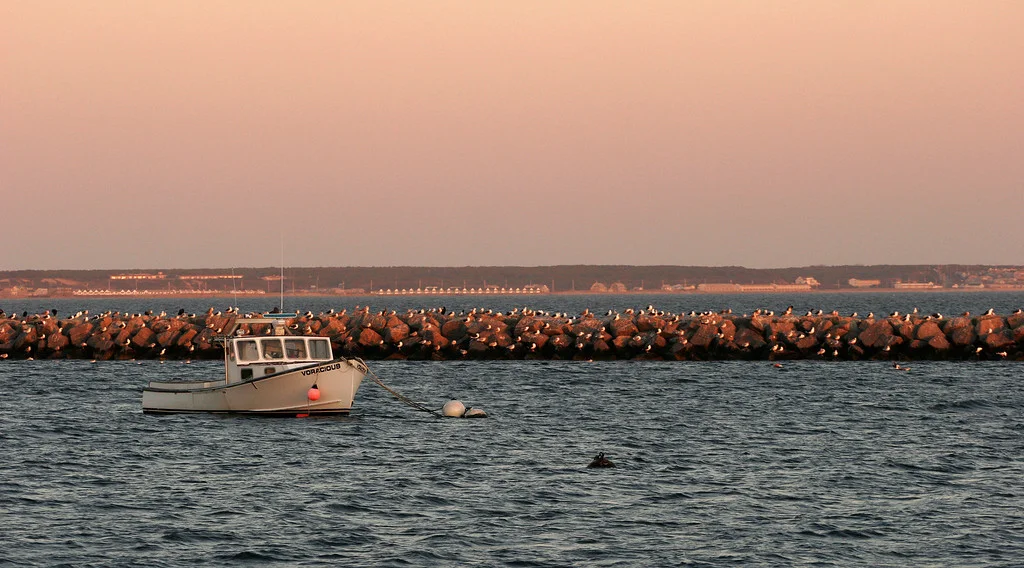      

 
  Provincetown Harbor, Cape Cod
 






















     