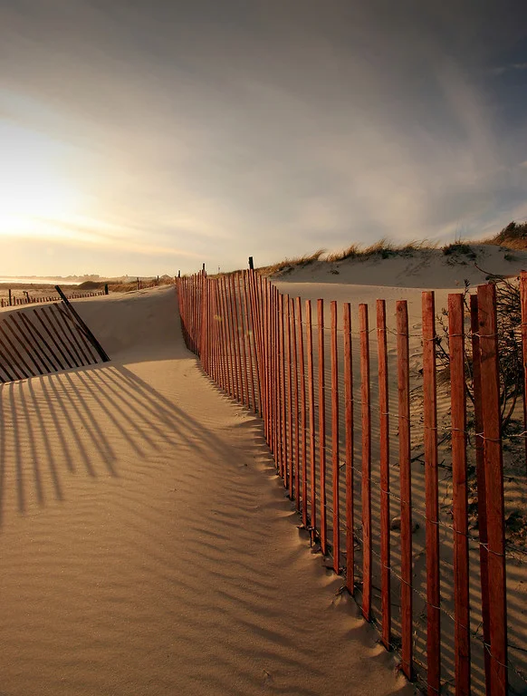      

 
  Fence shadows, Weekapaug, RI
 






















     