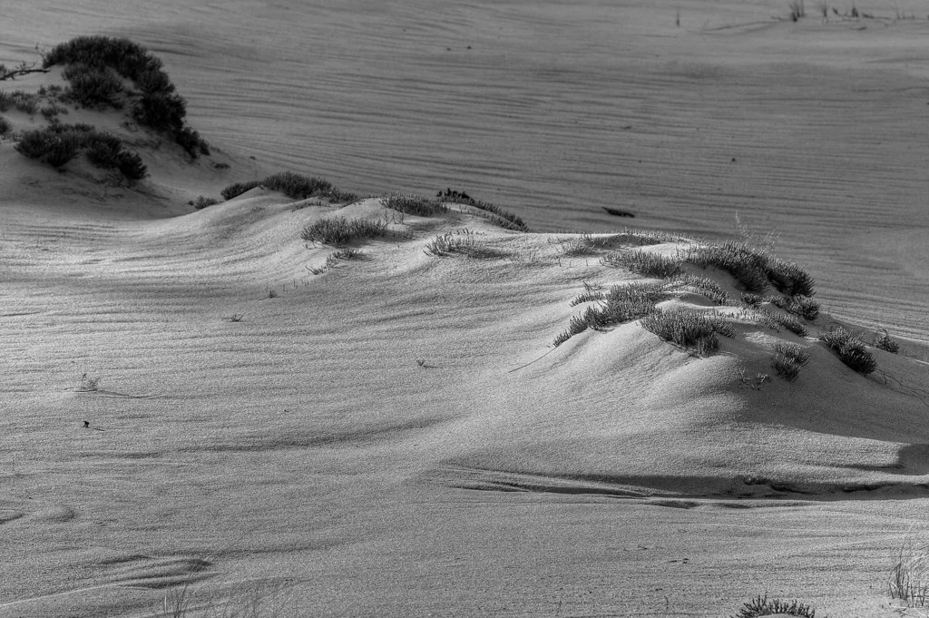      

 
  Winter light on dunes, Cape Cod
 






















     