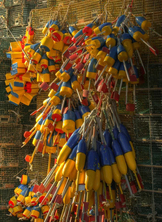      

 
  Lobster buoys, Peaks Isle, Maine
 






















     