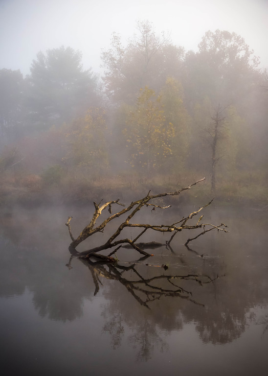 First rays, Blackstone River