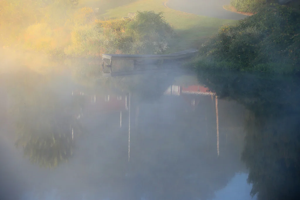 River Bend reflections