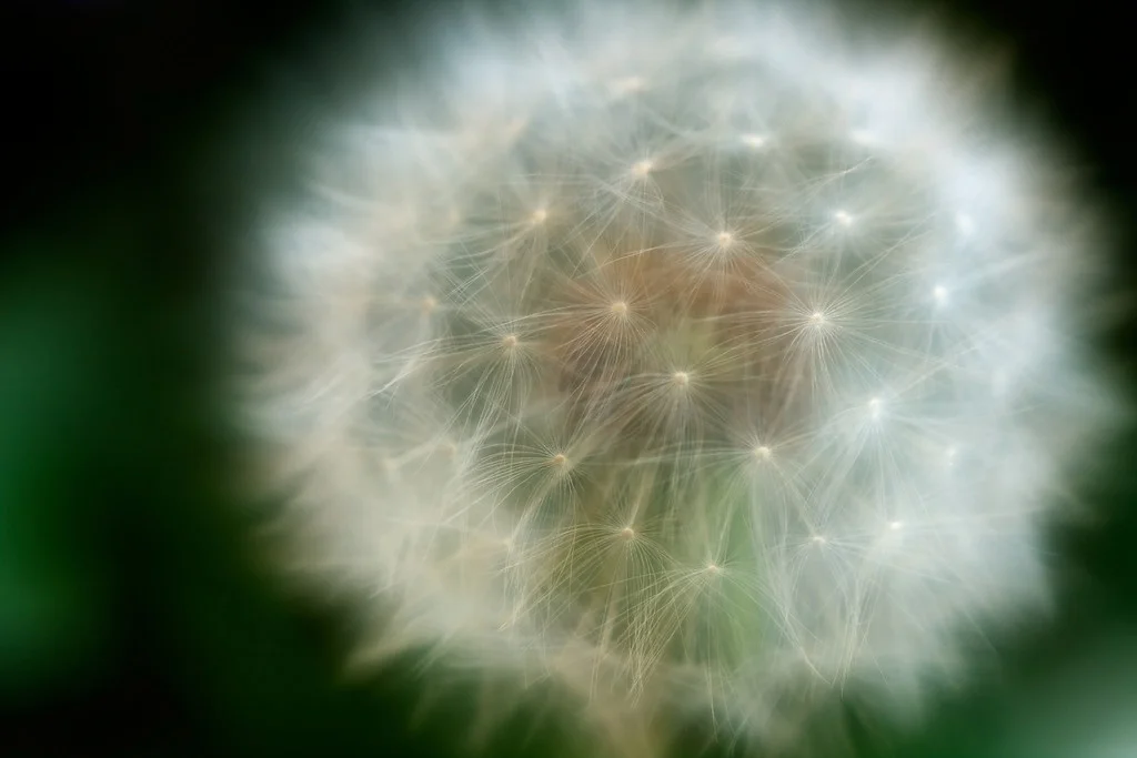 Sphere