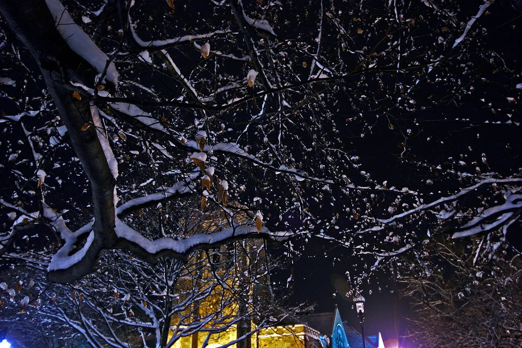 Park in snow, Whitinsville