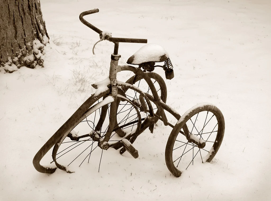 Old tricycle, Douglas, Massachusetts