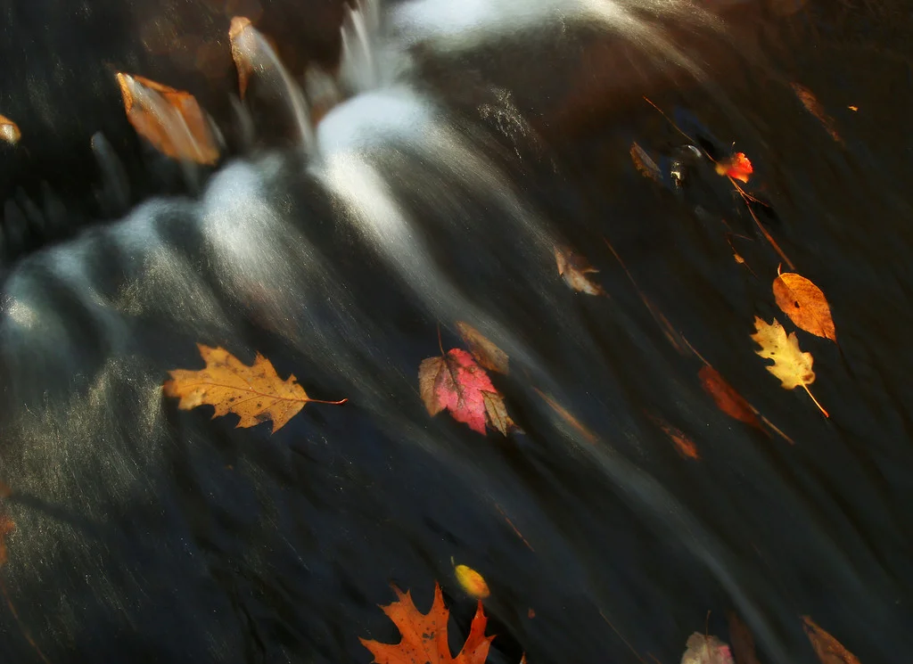 Fall leaves, Emerson Brook, Uxbridge