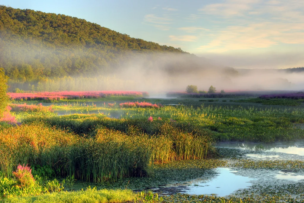 Morning fog, Blackstone River