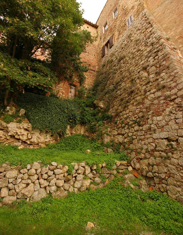      

 
  Ivy walls, Montepulciano
 






















     