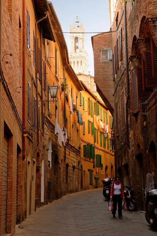      

 
  Siena street
 






















     