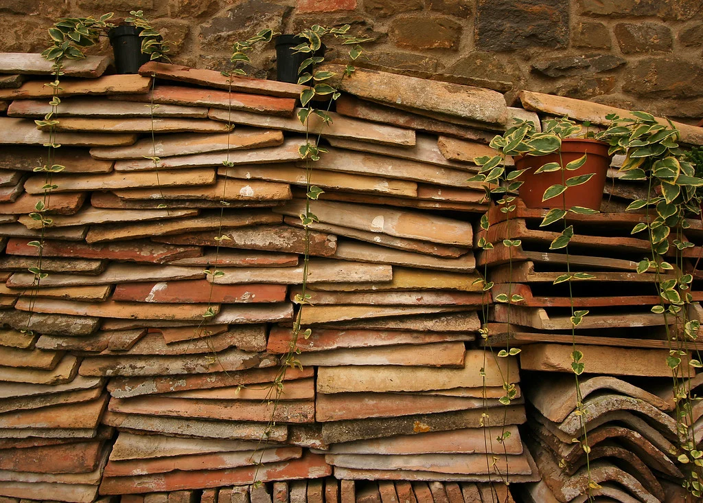      

 
  Shingles and plants, Montalcino
 






















     