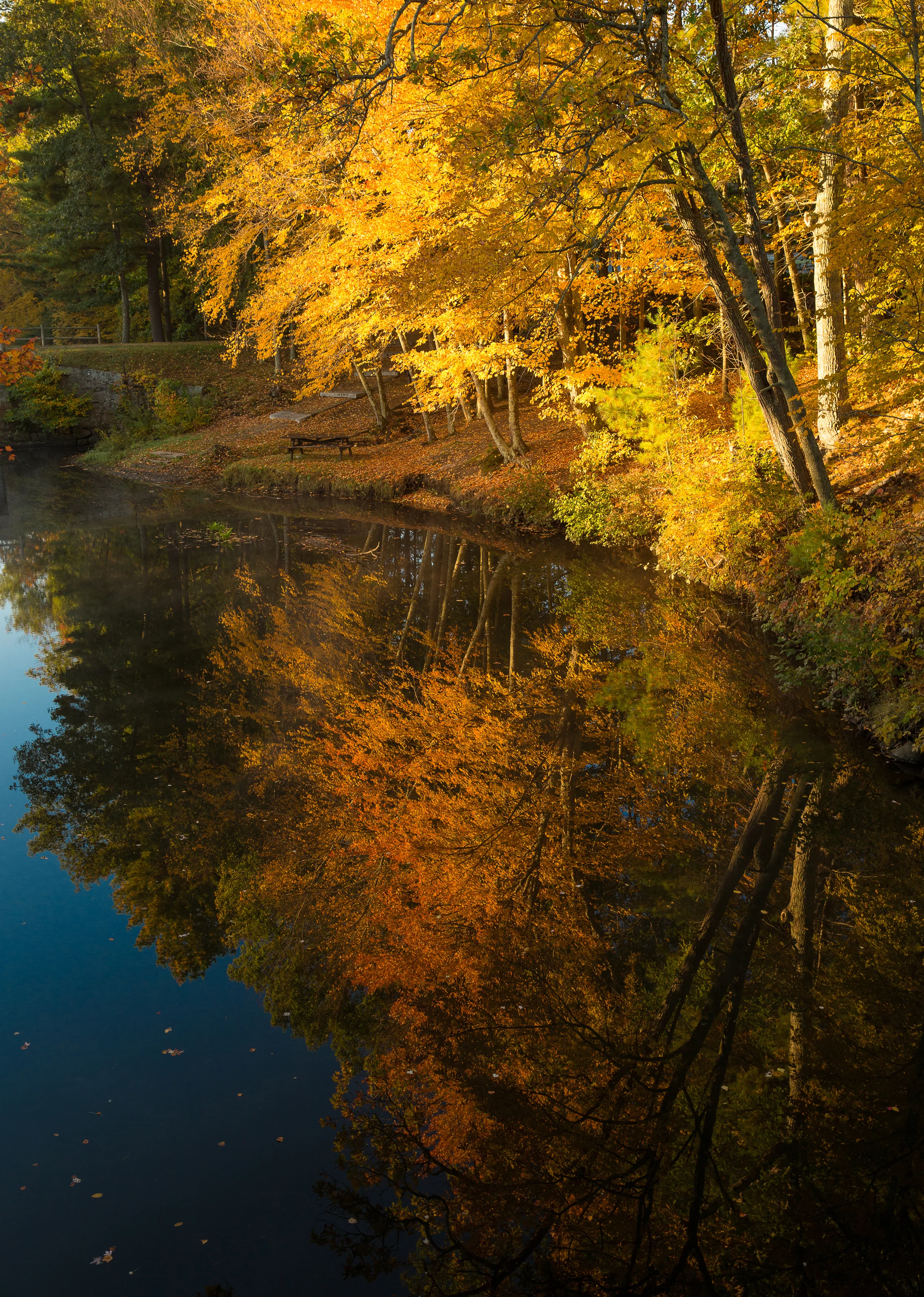 Canal reflections