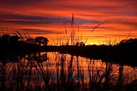 rock river sunset.jpeg
