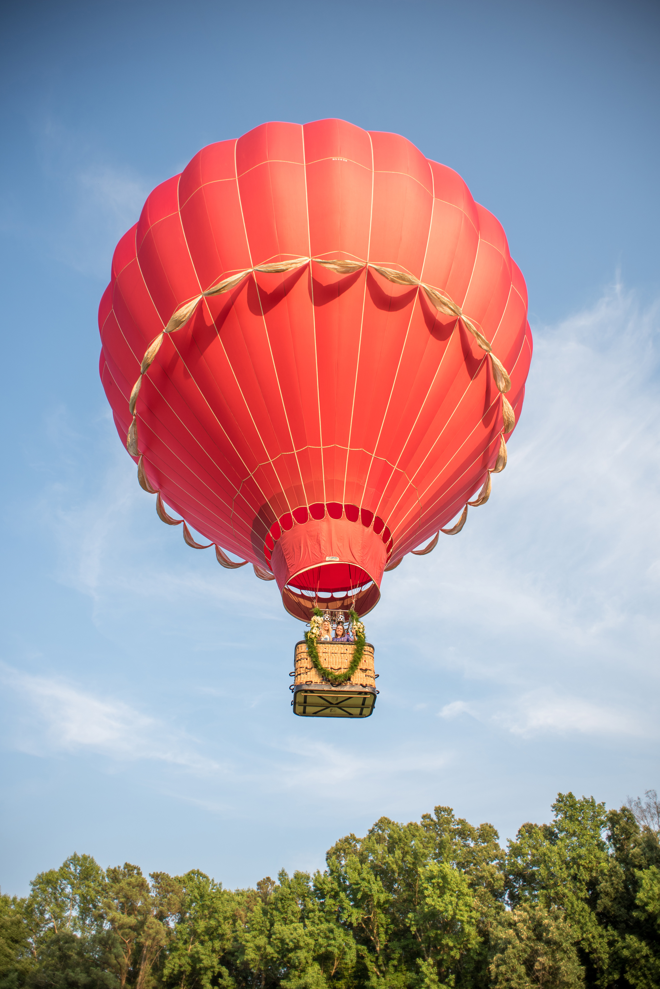 mikkelpaige-se_floral-hot_air_balloon-207.jpg