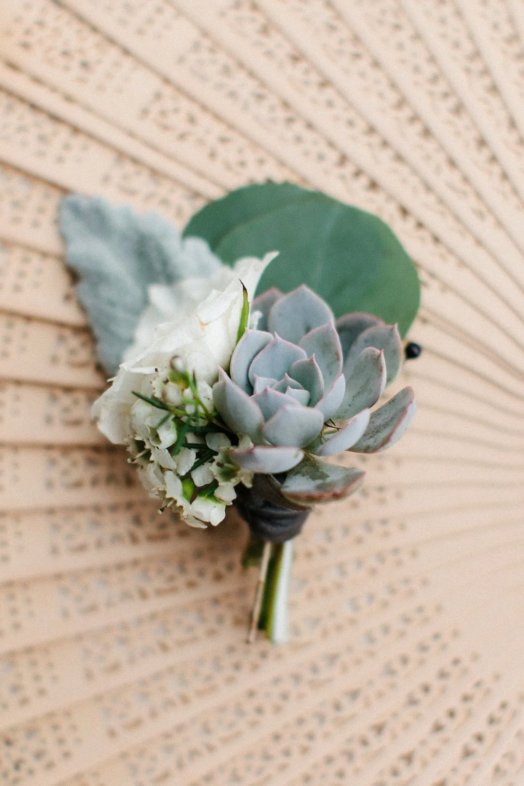 Image by Anna Routh Photography