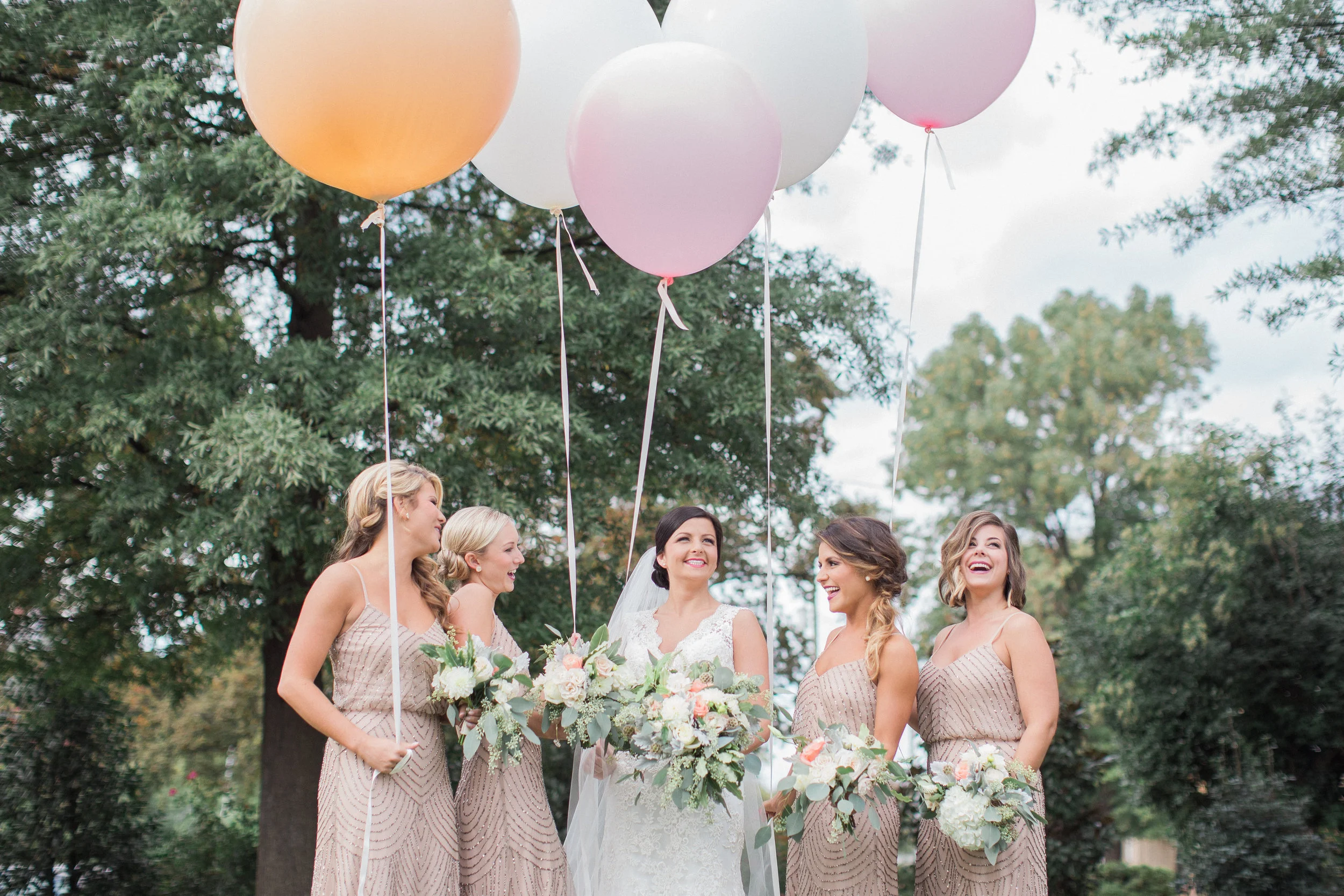 Image by Forage and Film Studio