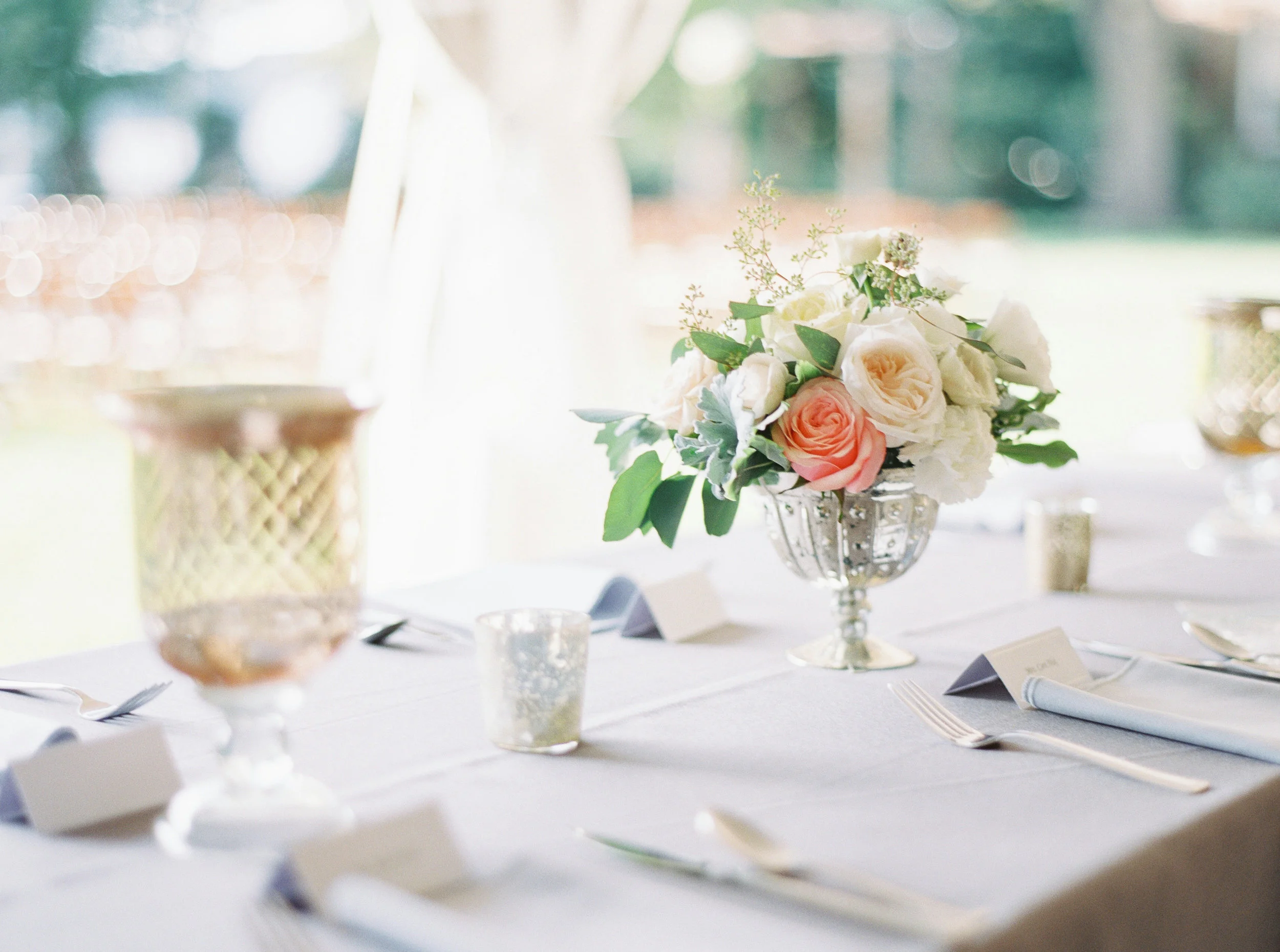 Image by Forage and Film Studio