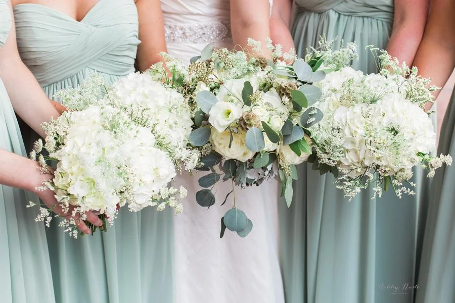 Image by Ashley Nicole Photography