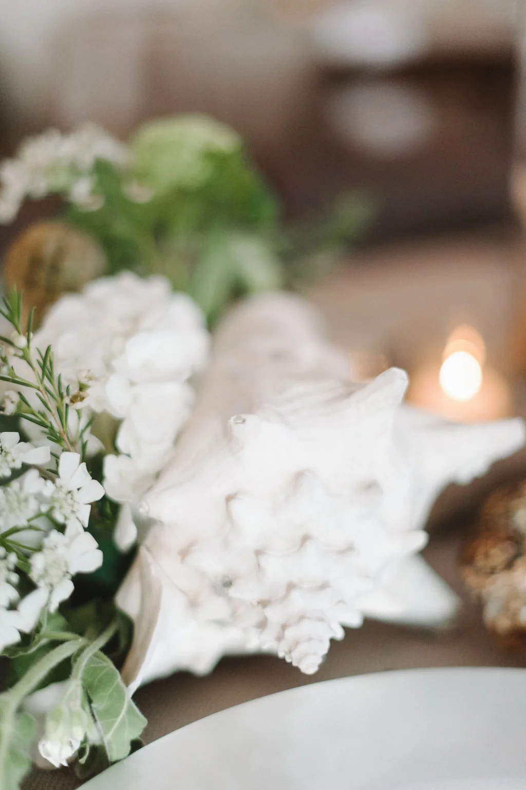 Image by Julie Livingston Photography