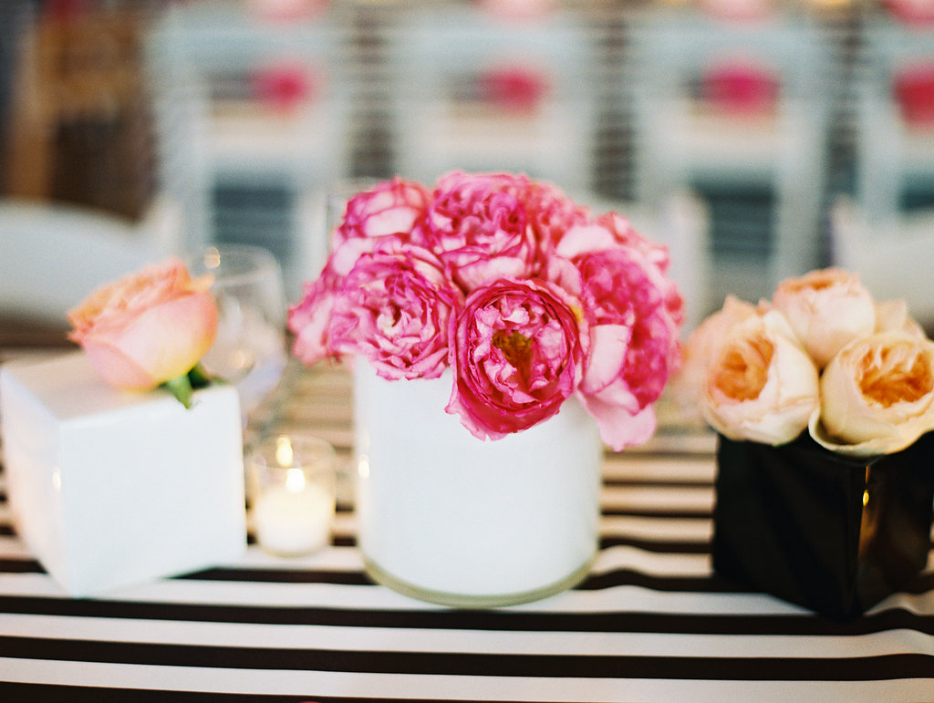 Image by Ashley Bosnick Photography