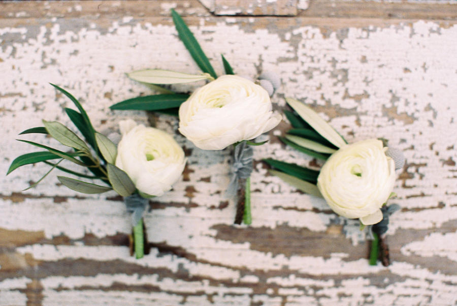 Image by Callie of Nancy Ray Photography