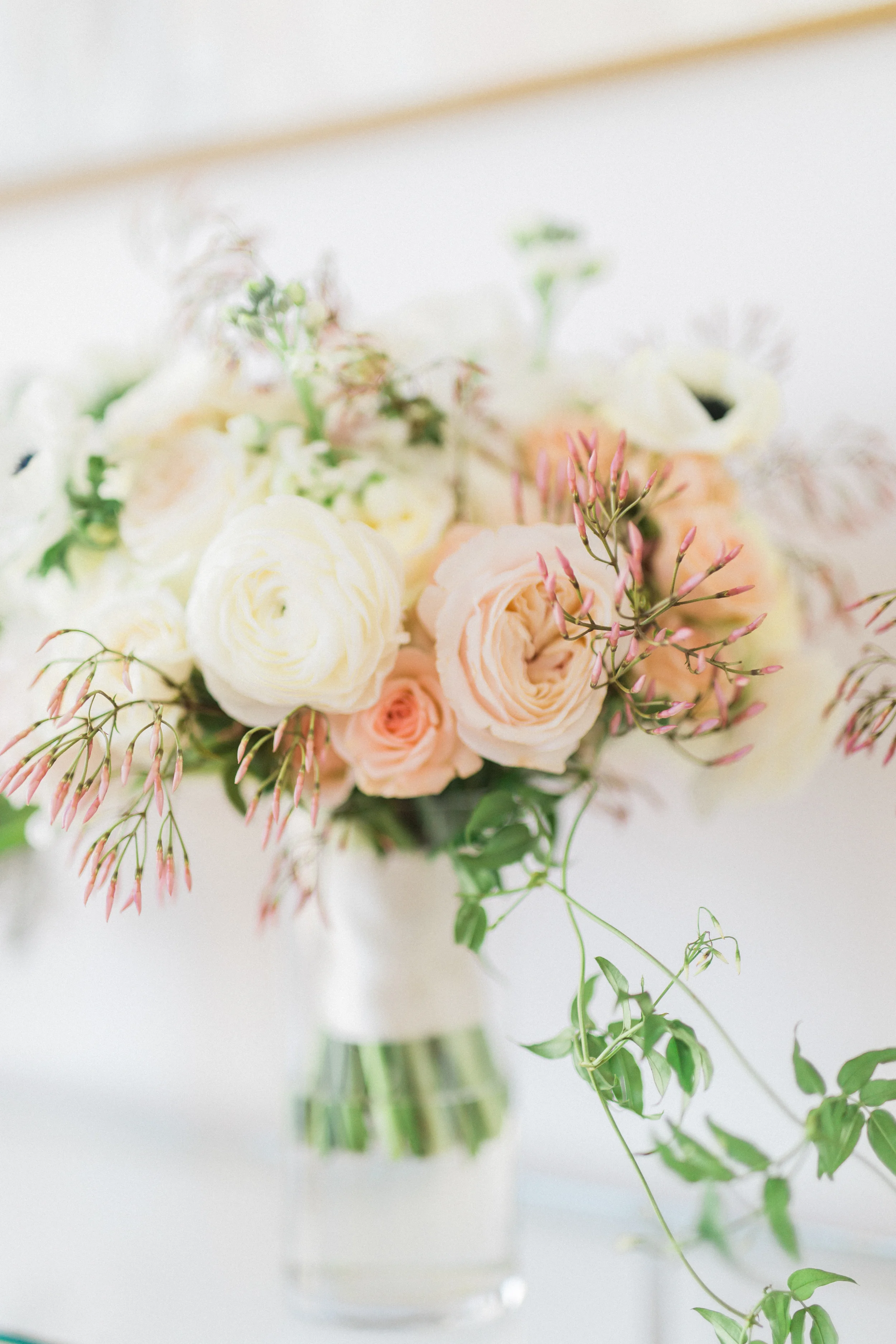 Image by Becci Ames Photography