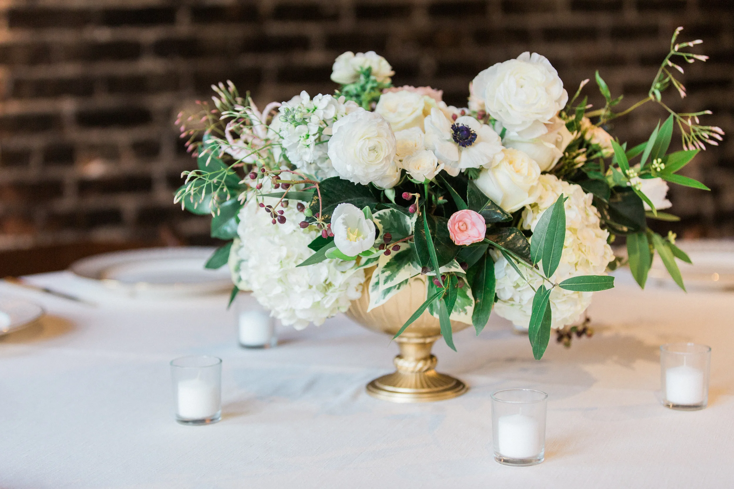 Image by Becci Ames Photography