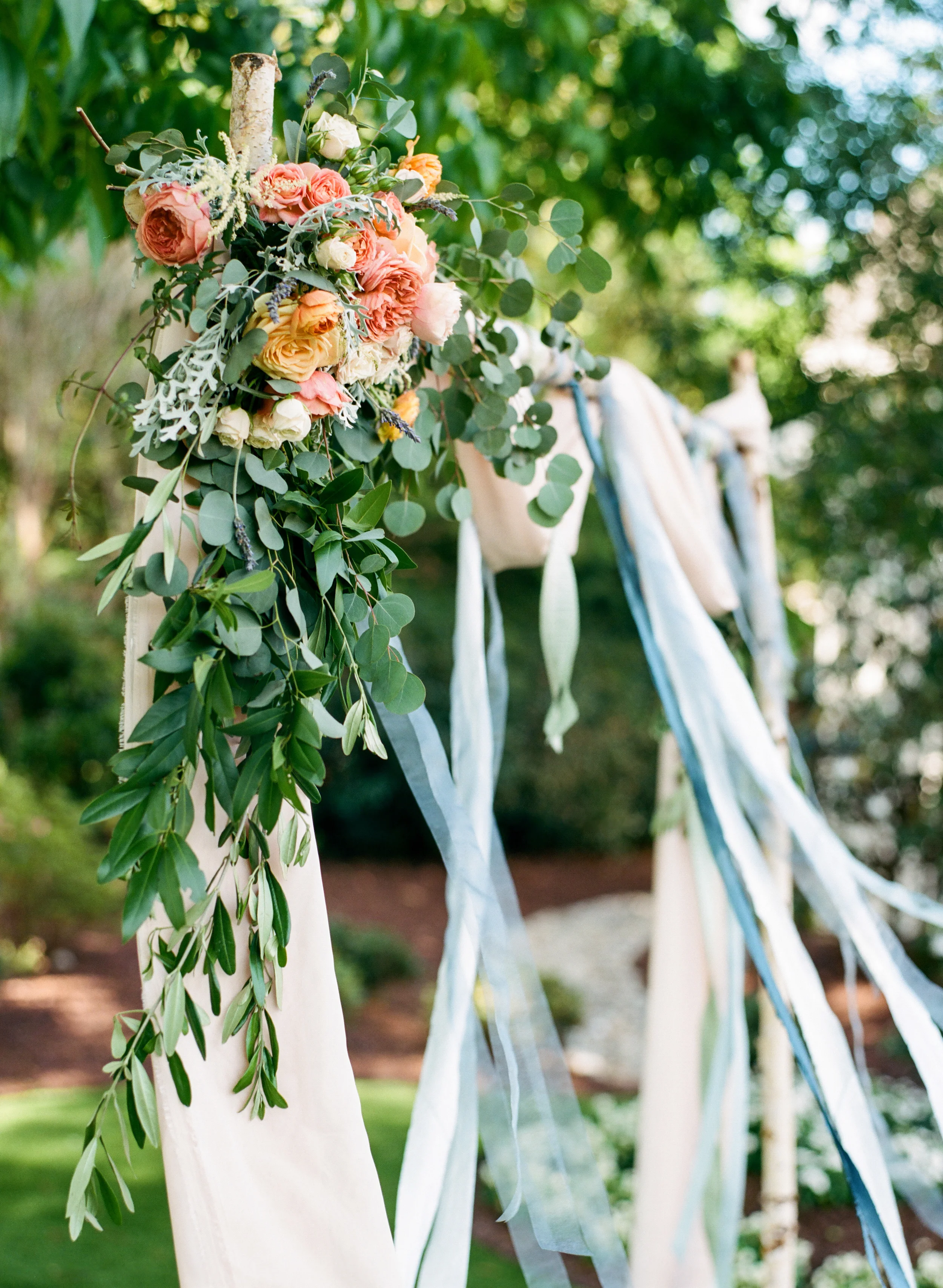 Image by Marcie Meredith