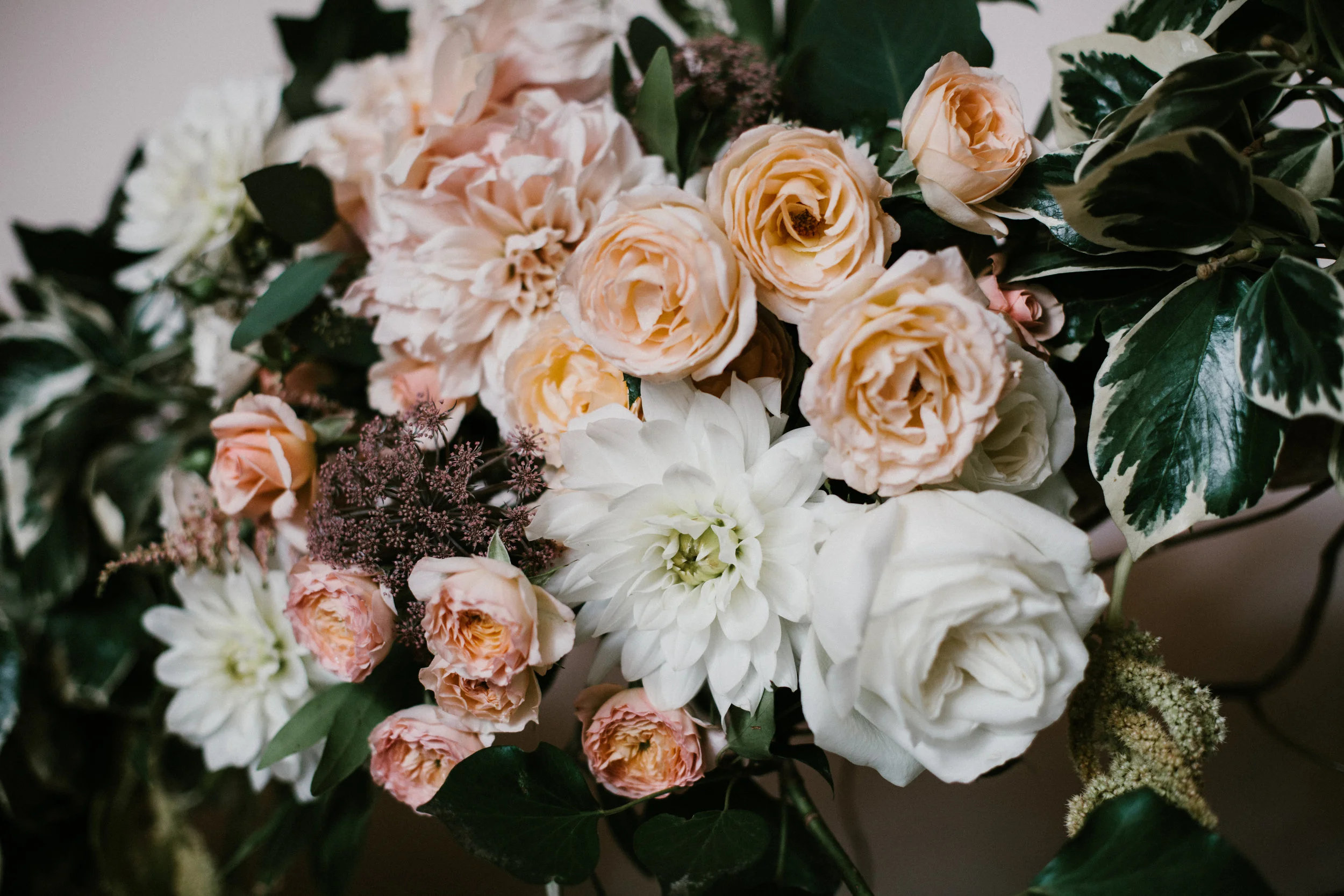 Image by Heather Burris Photography