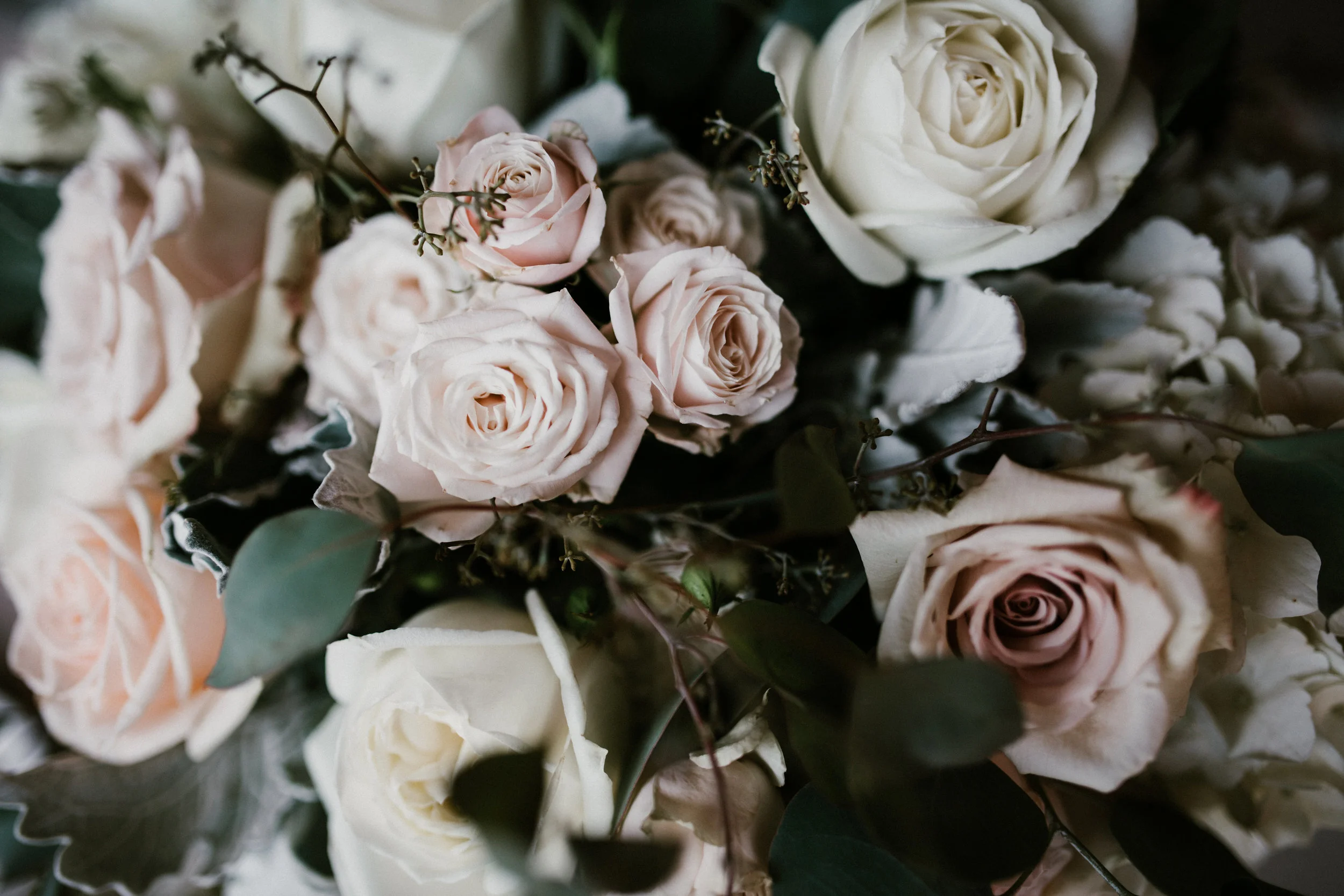 Image by Heather Burris Photography