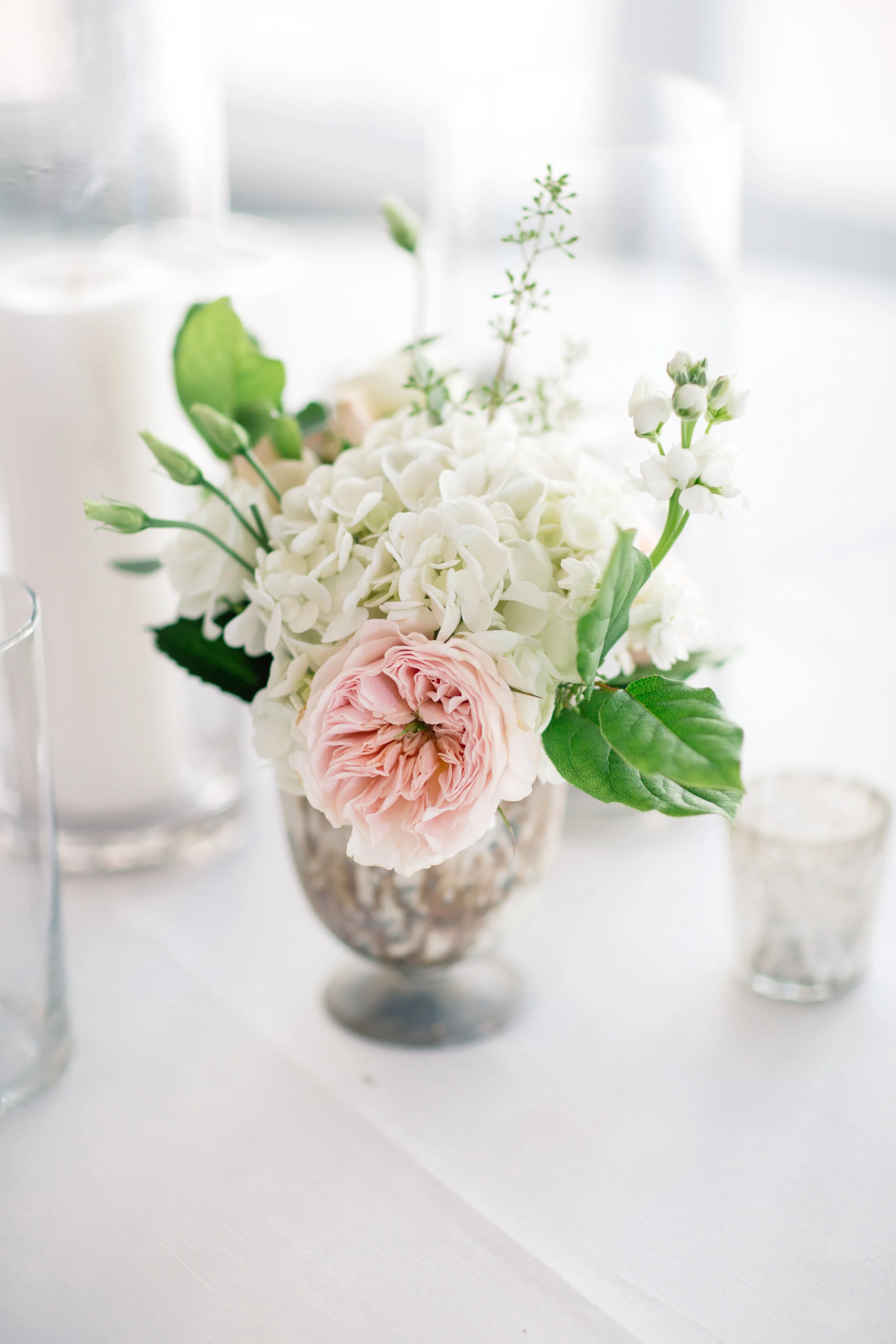 Image by Melissa Maureen Photography