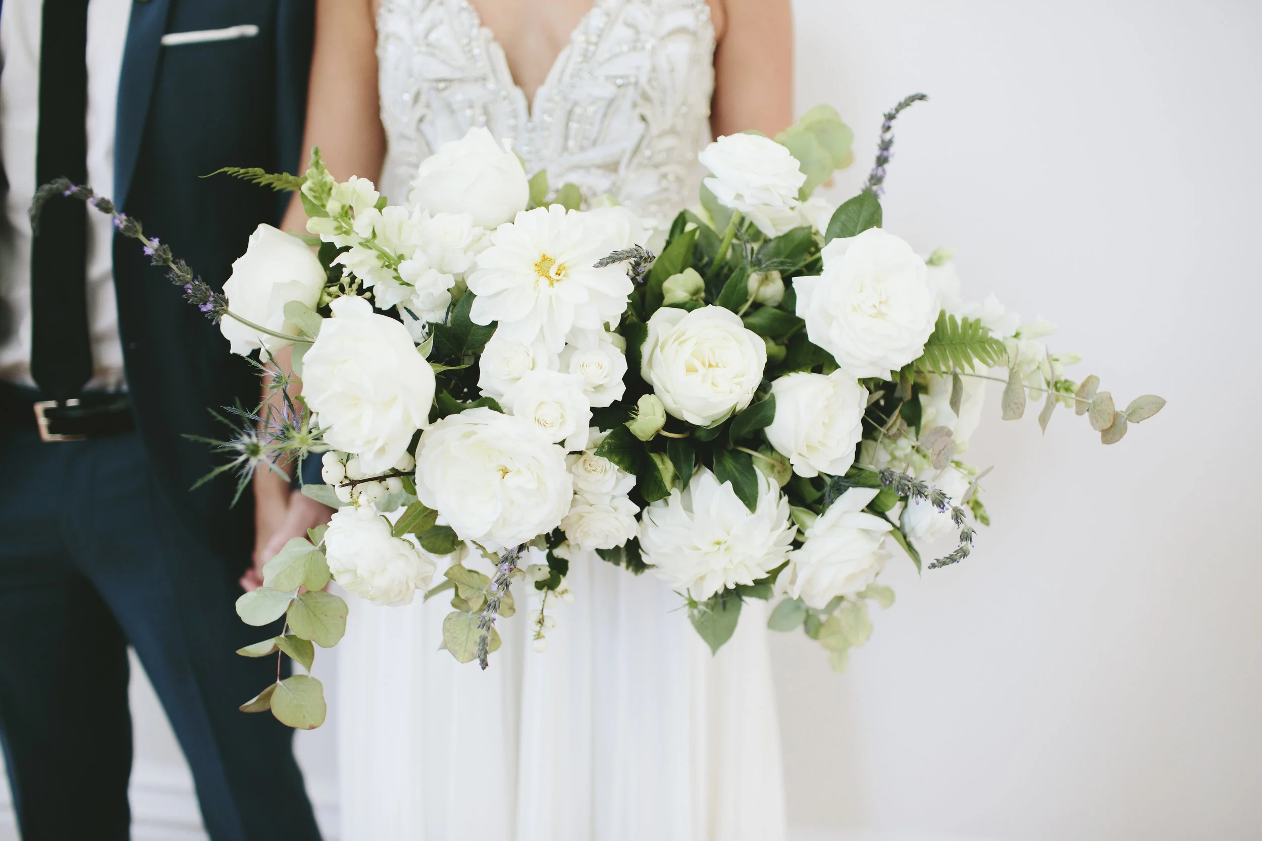   Image by MORNINGWILD Photography  