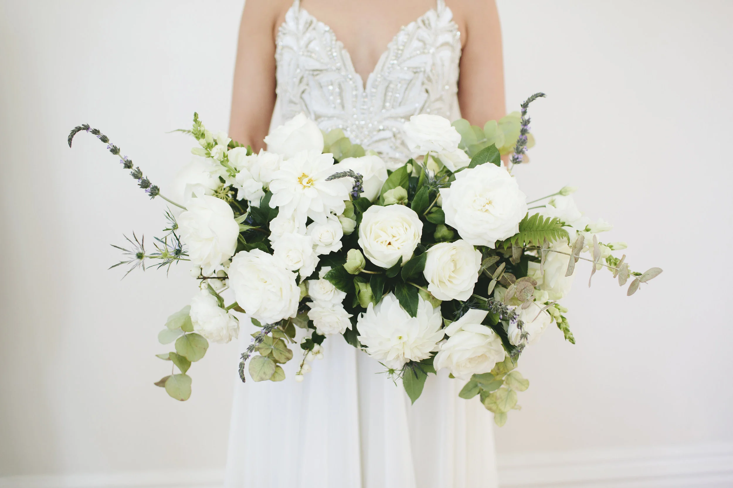   Image by MORNINGWILD Photography    