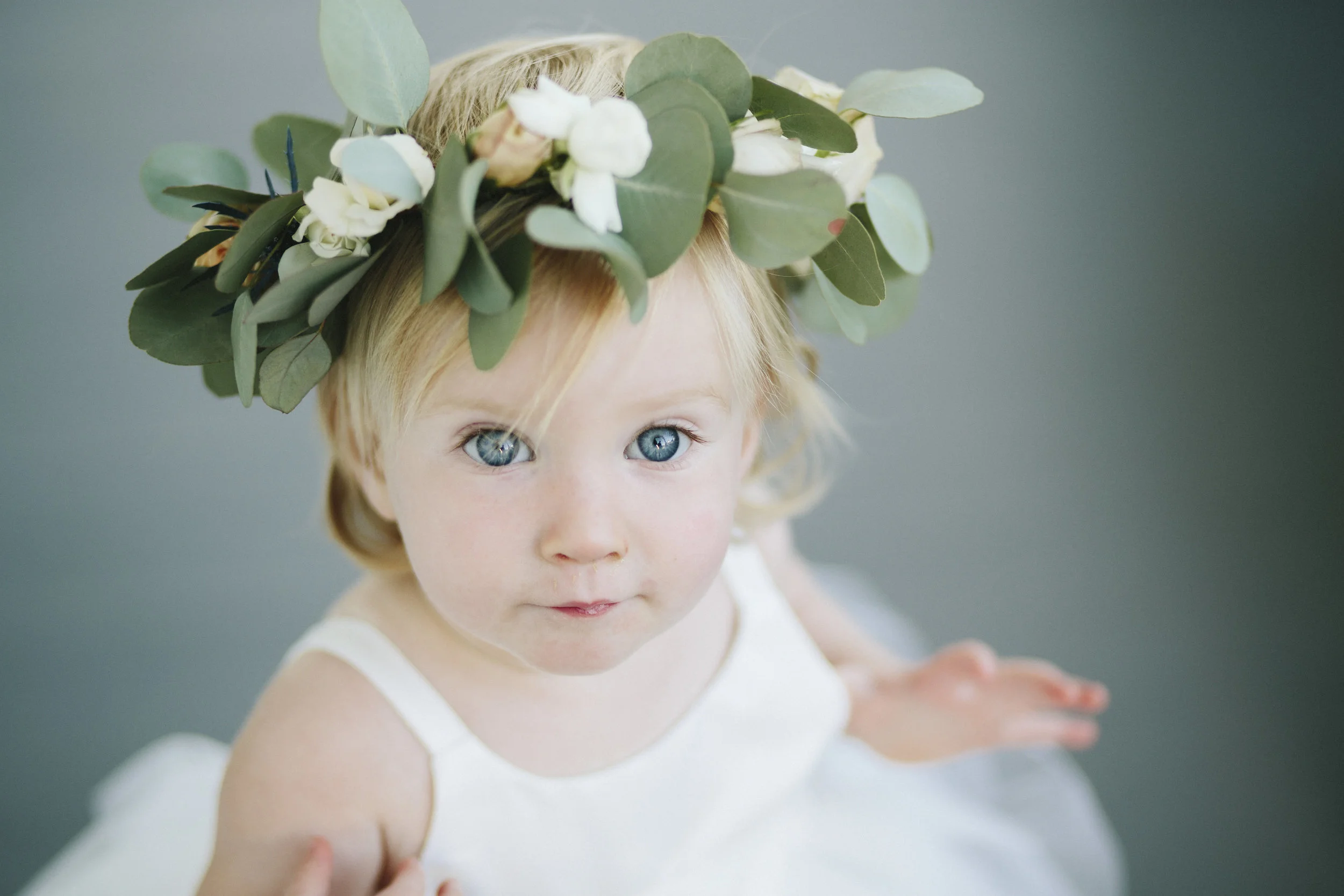   Image by MORNINGWILD Photography    