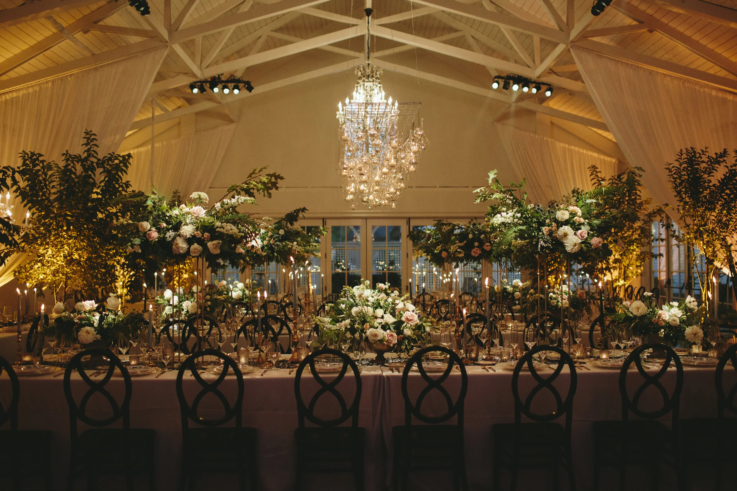   Image by MORNINGWILD Photography    