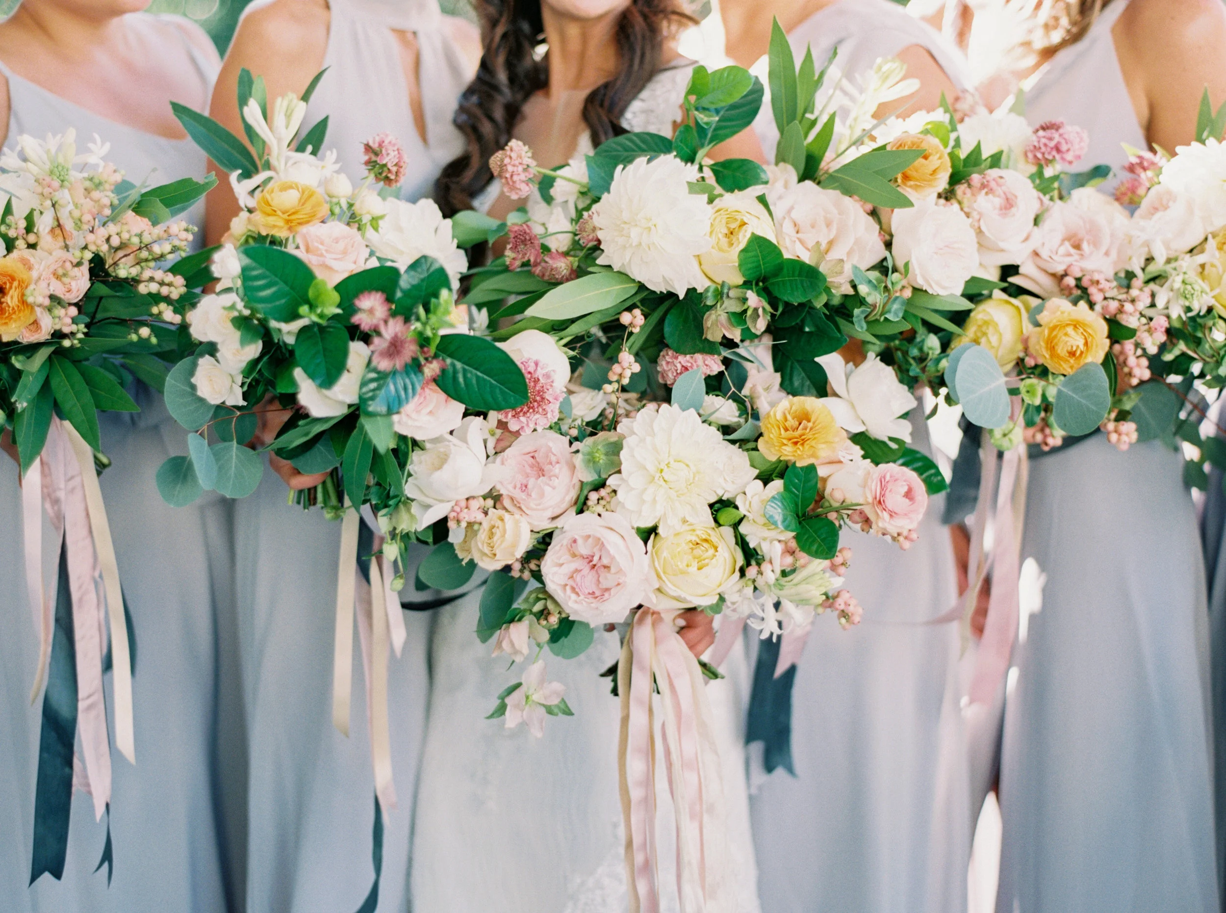 Image by Forage & Film