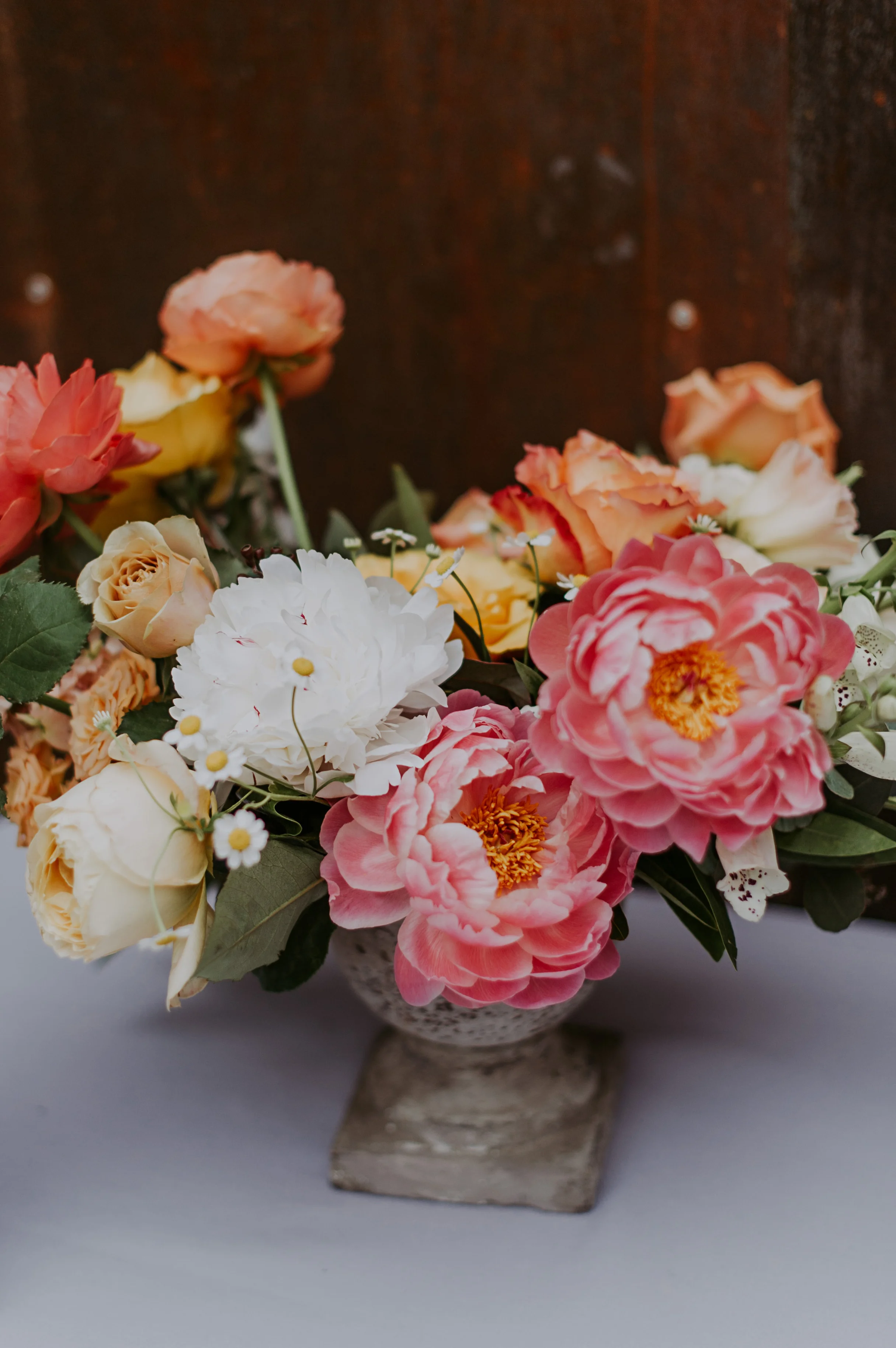 Image by Connection Photography