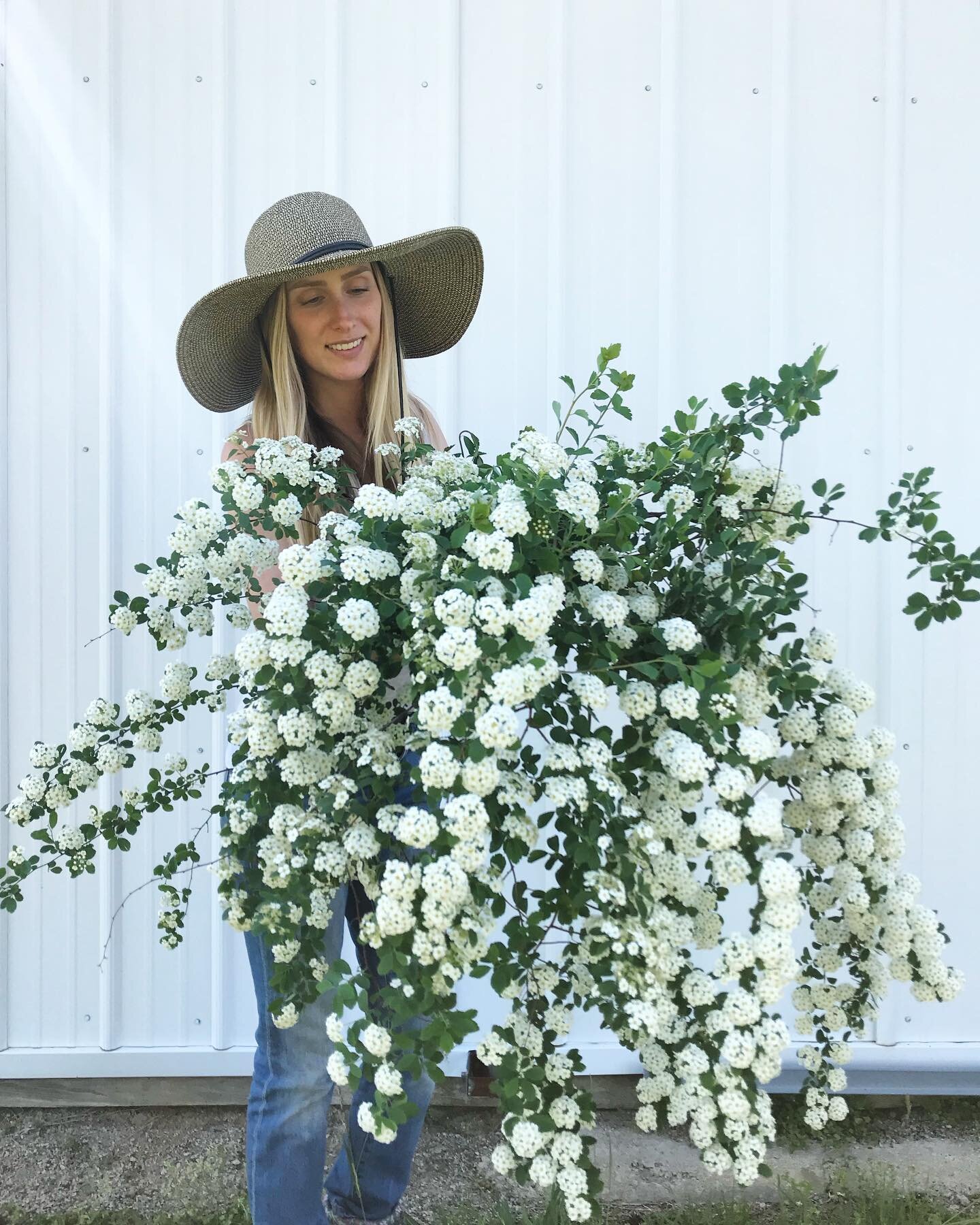 In just a few hours we will be processing thousands of blooms for Kim + Matt&rsquo;s wedding this weekend! 🤍 We&rsquo;ve only had one other wedding all year and don&rsquo;t have another one scheduled until the fall. I will cherish this week and reme