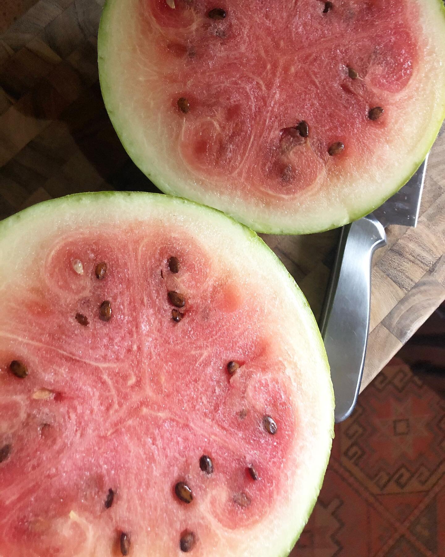 Our first 🍉 from the garden! Thank you Mother Earth for your body, which feeds our bodies. 🙏

#watermelon #summer #harvest #veggiegarden #fruit #grateful #joy #motherearth #blessings