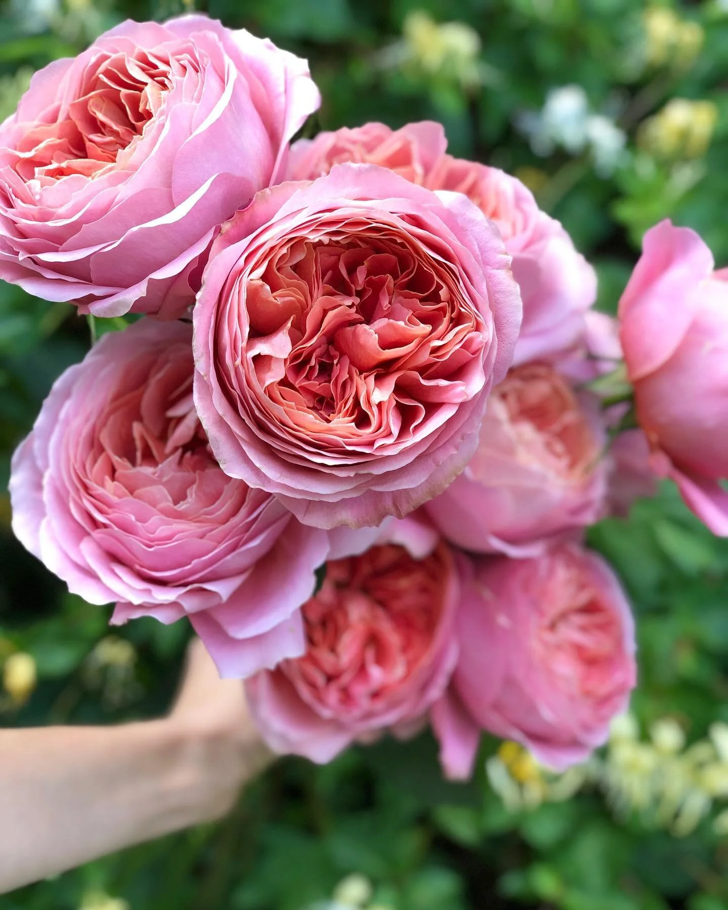 Good morning friends! We&rsquo;d like to encourage everyone to spend as much time outside in nature as you can. In the last few years we&rsquo;ve truly realized how healing and uplifting it has been to be outside and experience our surroundings. It doesn&rsquo;t have to be extravagant. It can be as simple as stepping out the front door and taking a deep breath of fresh air.

&ldquo;Whenever we touch nature we get clean. People who have got dirty through too much civilization take a walk in the woods, or a bath in the sea.&rdquo; 

We realize that we are participating in social media which doesn&rsquo;t always encourage time outdoors. We love sharing our activities but nothing will beat the real deal of experiencing it for yourself 💚. We challenge everyone for every minute you spend viewing our social media, spend  5 minutes outside. We all have a choice about where we give our attention. We&rsquo;re incredibly grateful for the love you have shown us and we want to be responsible with 