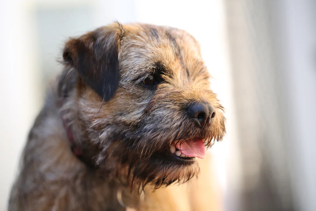 Cleo Weekend 144.jpg