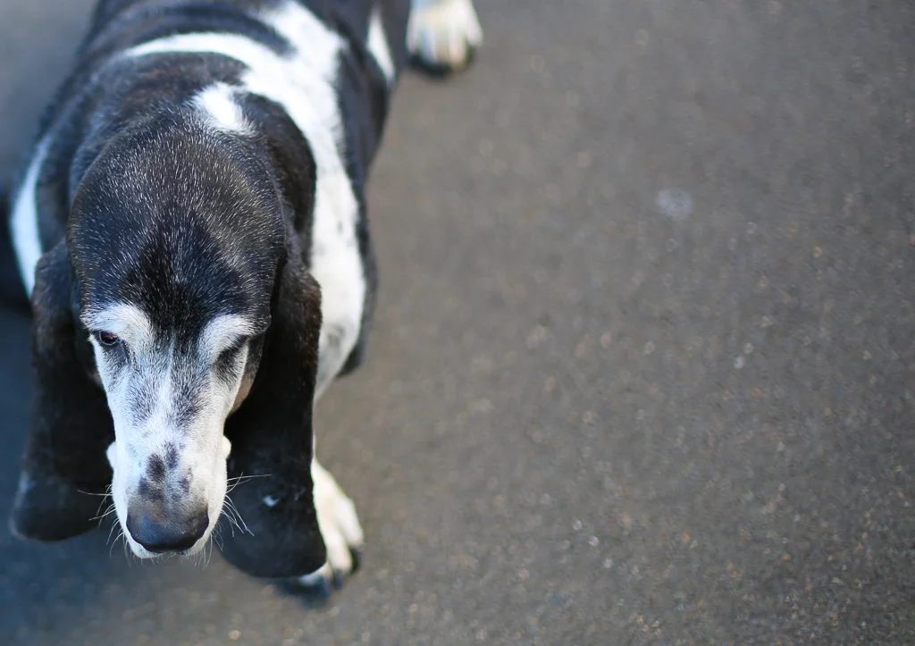 USA Trip - Los Angeles Batch 1 263.jpg