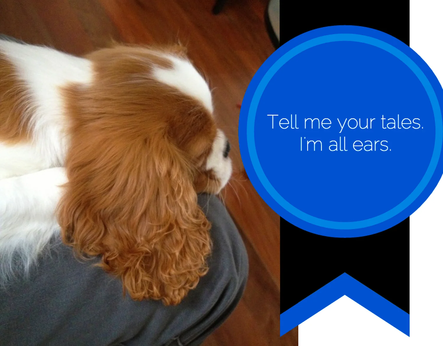 Screen Shot 2014-08-30 at 9.31.20 pm.jpg