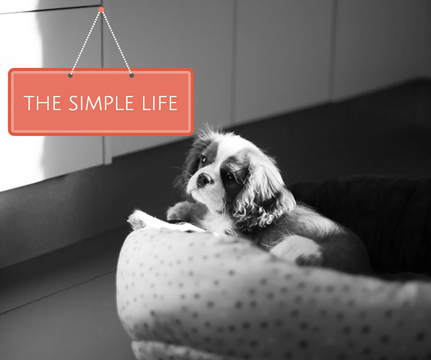 Screen Shot 2014-09-02 at 8.00.43 pm.jpg