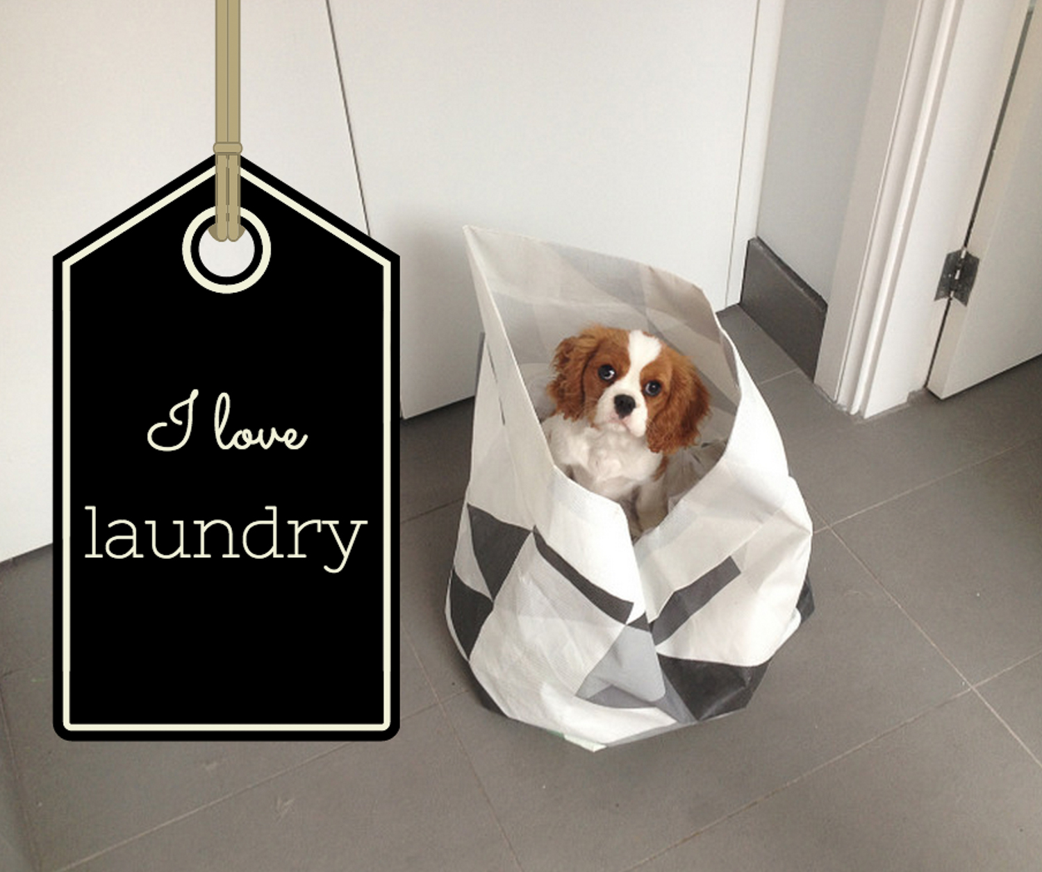 Screen Shot 2014-09-17 at 9.47.40 pm.jpg