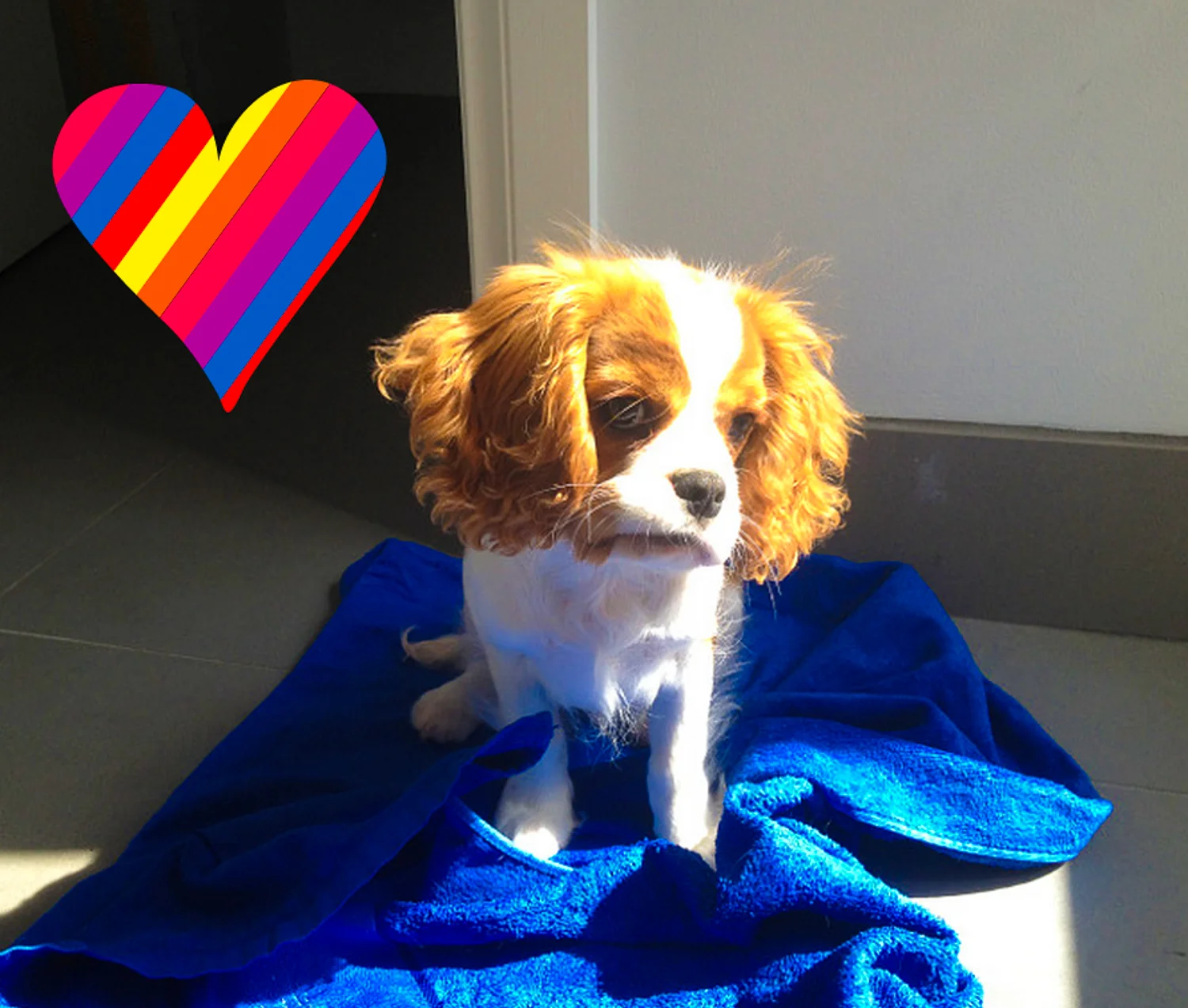 Screen Shot 2014-09-17 at 9.44.01 pm.jpg